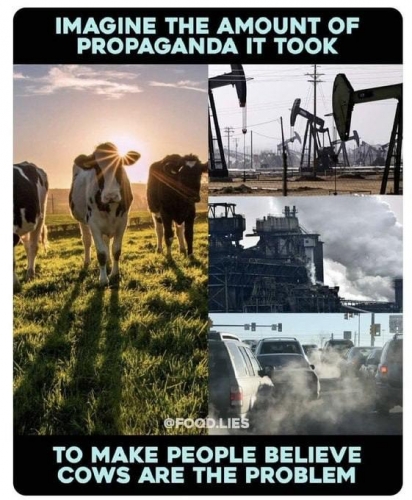 Propagande.jpg