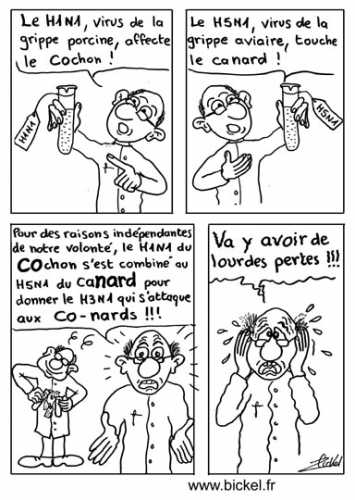 co-nard H1N1.jpg