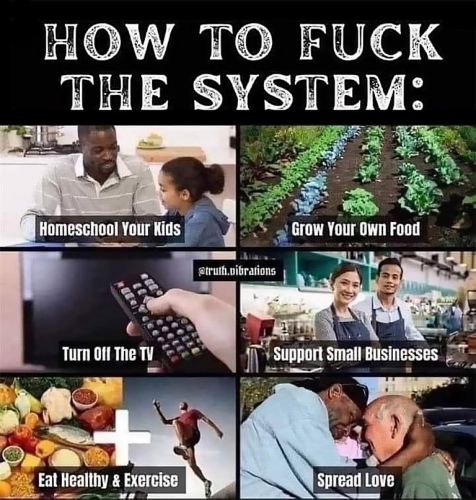 Fuck the system.jpg