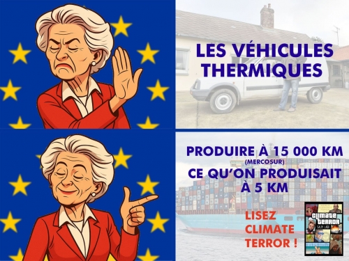 UE Véhicules thermiques.jpg