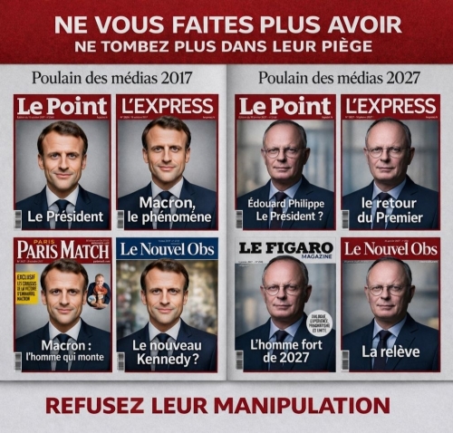 Le poulain.jpg
