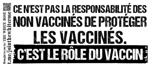 Vaccins.jpg