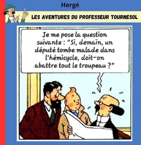 Abattre le troupeau.jpg