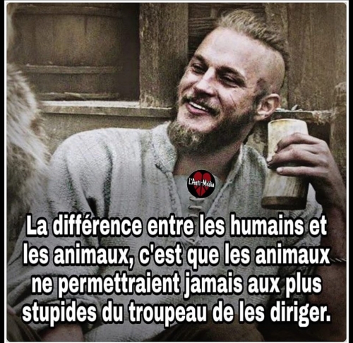 Stupides.jpg
